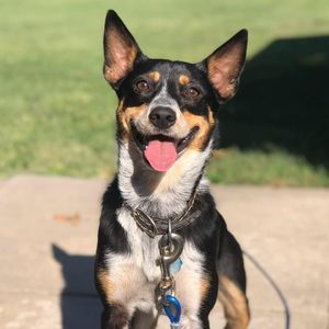 Meet your Posher, Geordan